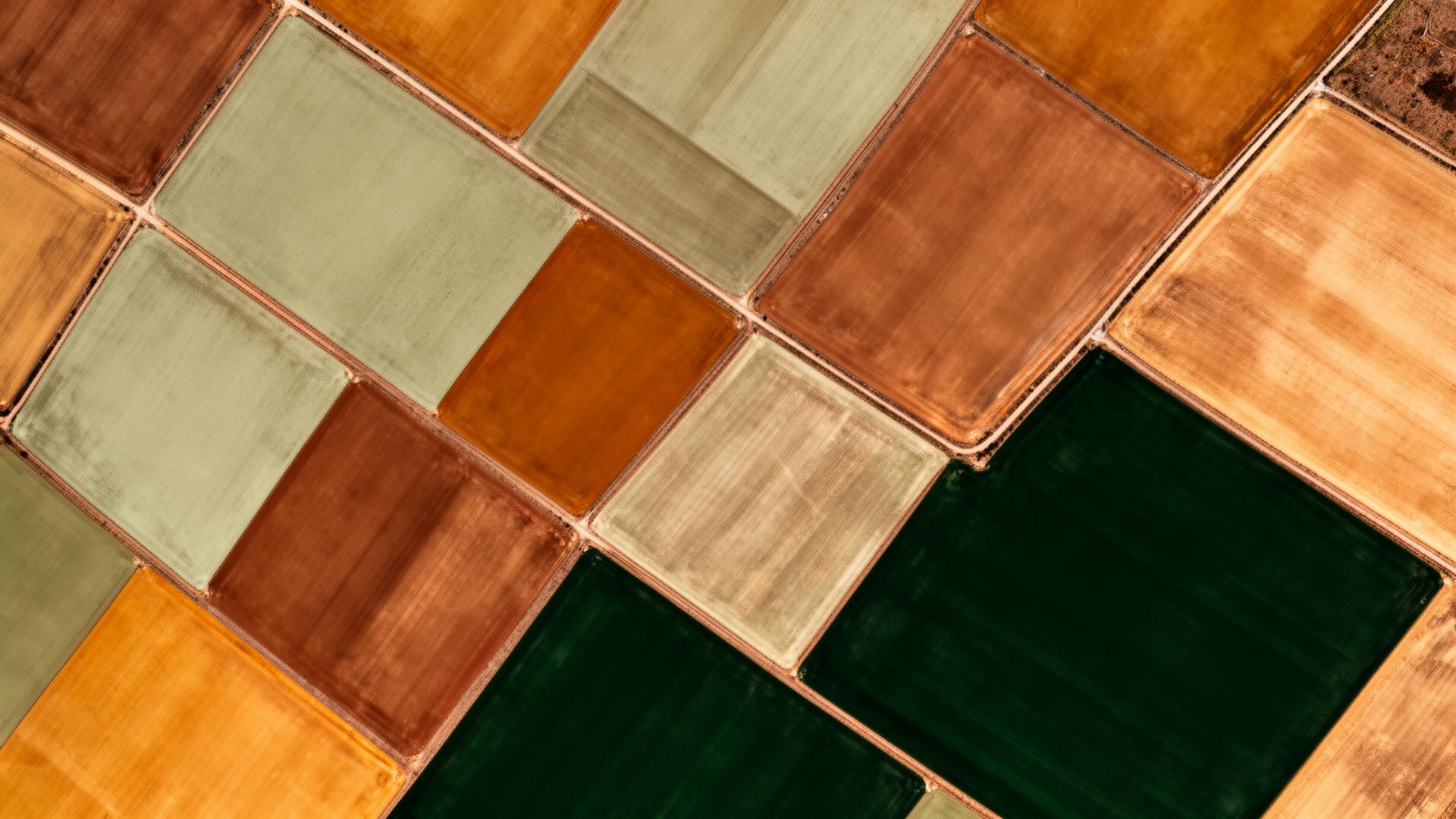 Aerial view of agricultural fields